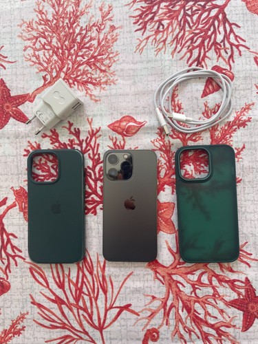 Iphone pro 128gb - 13, batteria