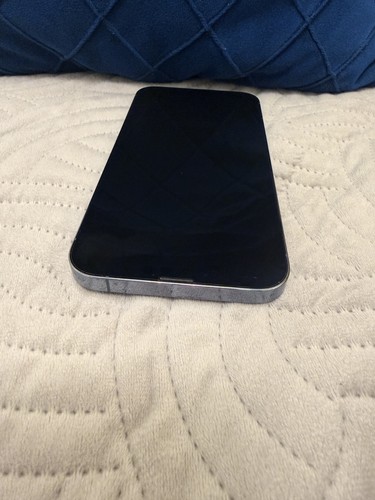 Apple iphone pro max 256gb - iphone, 13