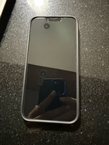 Apple iphone pro max 100 - iphone,
